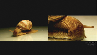 Ahmet Serif Yildrm - Davut Toy